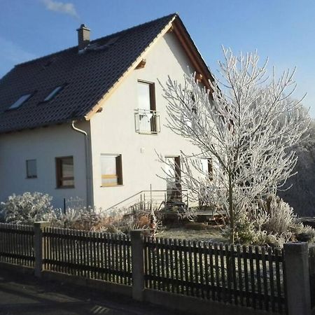 Appartment Am Traetzhof فولدا المظهر الخارجي الصورة